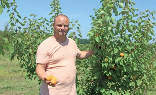 ПРЕПАРАТИ MERISTEM ДОПОМОЖУТЬ РОЗКРИТИ ПОТЕНЦІАЛ РОСЛИНИ