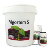 VIGORTEM-S: ДОСВІД ЗАСТОСУВАННЯ ТА СКЛАД