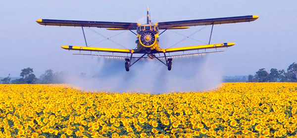 Рідке добриво для соняшника