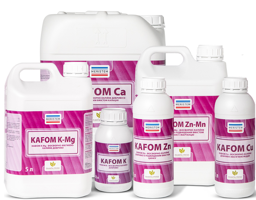 aminomax